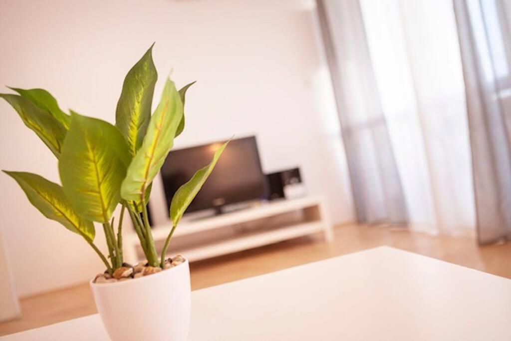 Sea City View W/ 2Bd 1Bt Free Street Parking 리예카 외부 사진